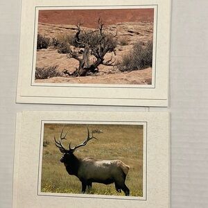 05 SET OF 12 Nature Photo Cards:elk, iguana, moose, desert arch, bird, mountain